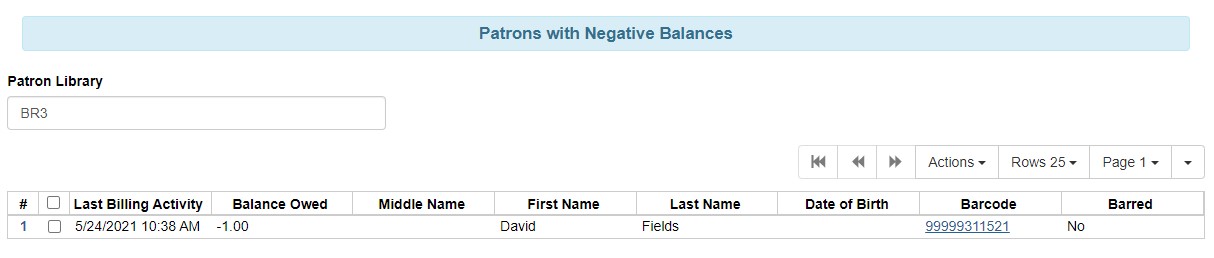 Screen Shot of the Patron with Negative Balances Screen